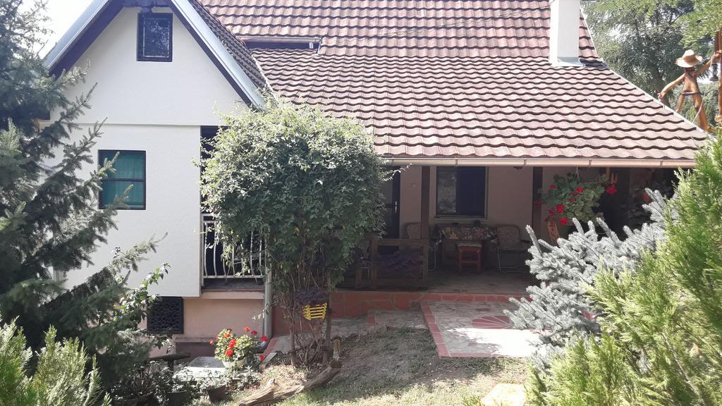 Skriveni Raj Lägenhet Vrdnik Rum bild