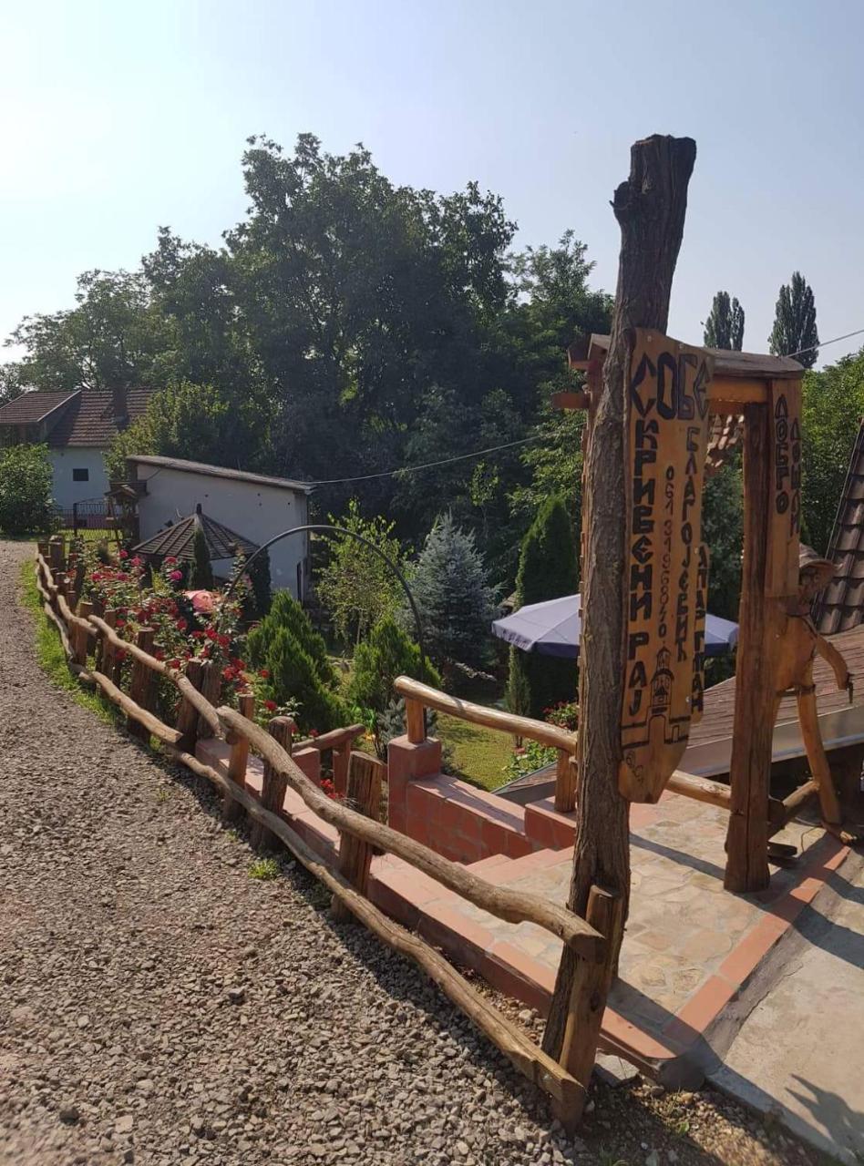 Skriveni Raj Lägenhet Vrdnik Exteriör bild