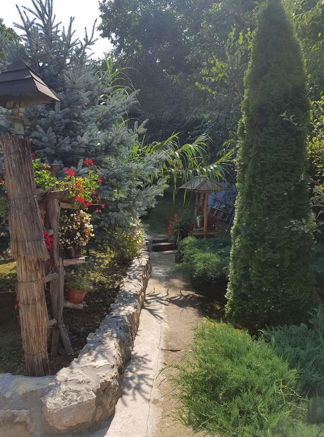 Skriveni Raj Lägenhet Vrdnik Rum bild