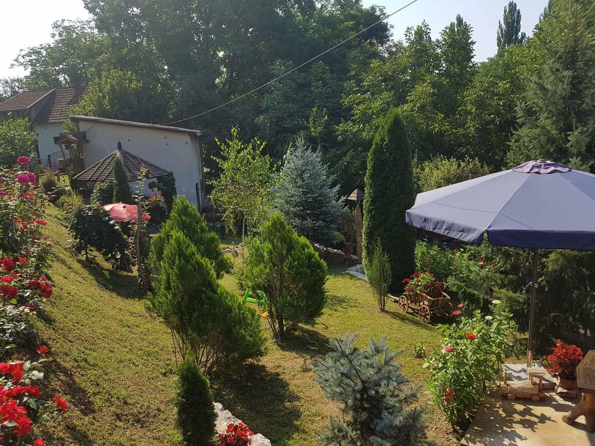 Skriveni Raj Lägenhet Vrdnik Rum bild