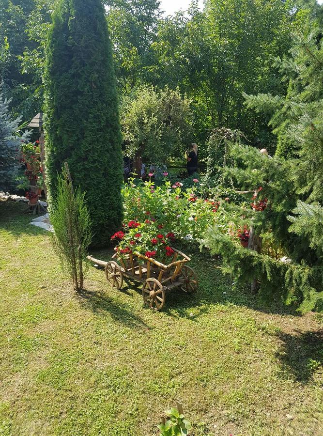 Skriveni Raj Lägenhet Vrdnik Exteriör bild
